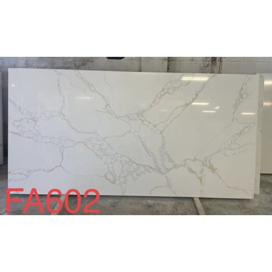 FA602