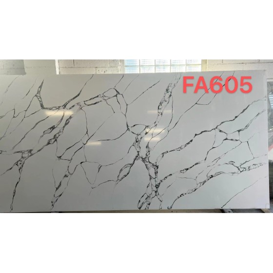 FA605