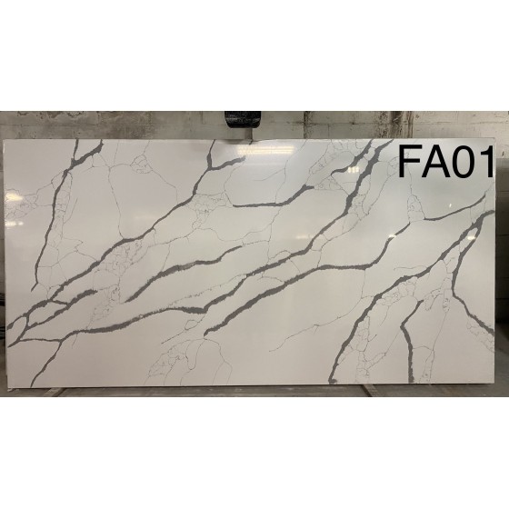 FA01