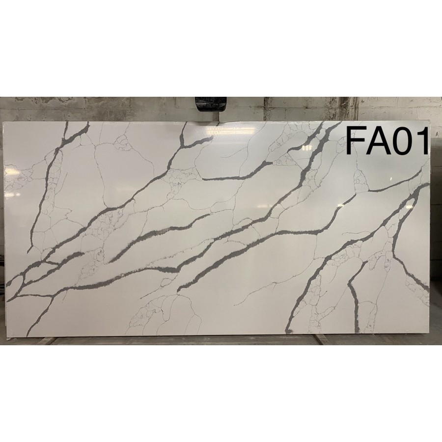 FA01